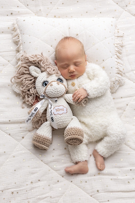 JollyToys) (2)s nimeline mänguasi hobune 2026.aasta sümbol Katsikukingitus